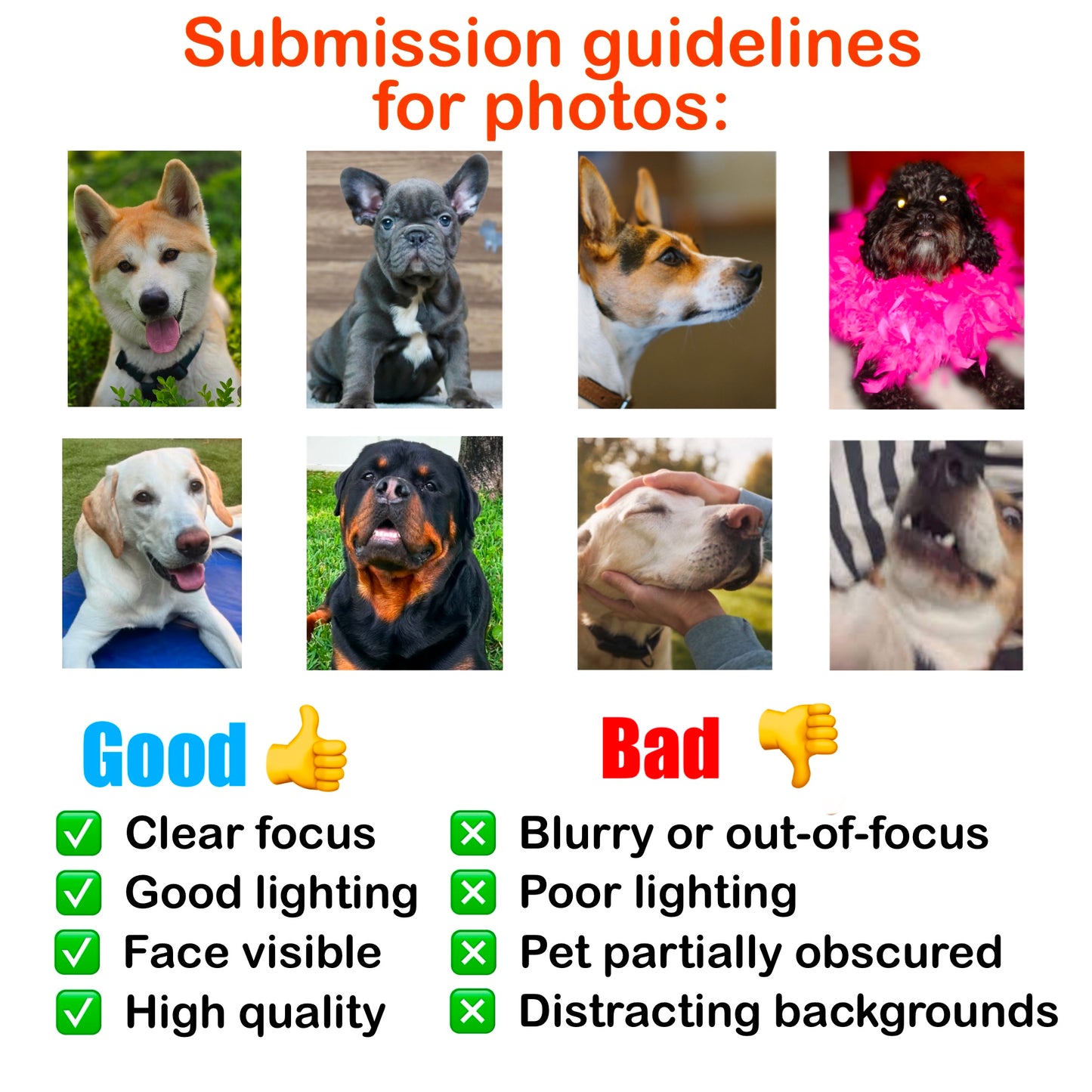 Guidelines for pet photo submissions with examples and indicators of good vs. bad photos.